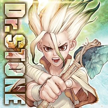 Dr. STONE