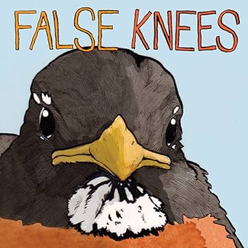 False Knees