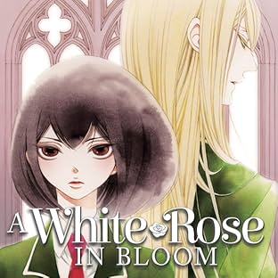 A White Rose in Bloom