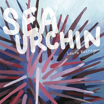 Sea Urchin