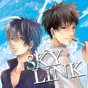 Sky Link