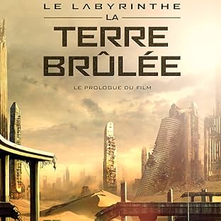 Le Labyrinthe - La Terre Brûlée