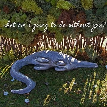 What Am I Going To Do Without You?