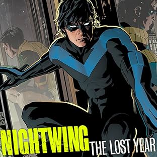 Nightwing: The Lost Year