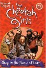 The Cheetah Girls book cover 2