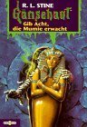 Gib Acht, die Mumie erwacht (Gänsehaut, #23) (Goosebumps, #23)