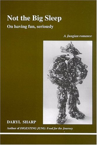 Not the Big Sleep book cover