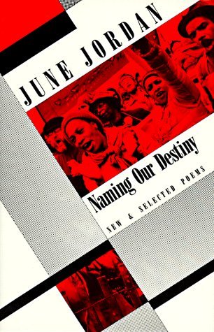 Naming Our Destiny book cover