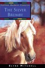The Silver Brumby