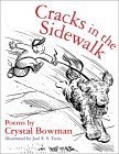Cracks in the Sidewalk book cover
