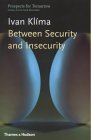 Between Security and Insecurity book cover