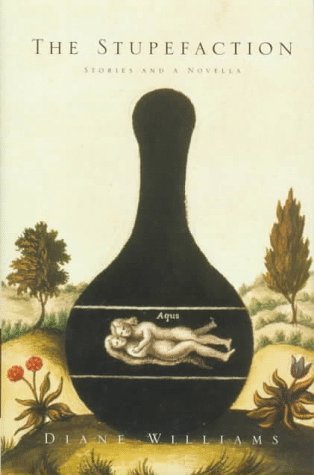 The Stupefaction book cover