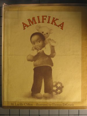 Amifika book cover