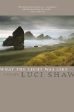 What the Light Was Like book cover