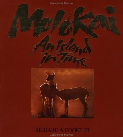 TRAVELING TO MOLOKA I START HERE visual data 6