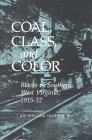 Coal, Class, and Color Blacks in Southern West Virginia, 1915-32 book cover