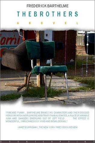 The Brothers book cover