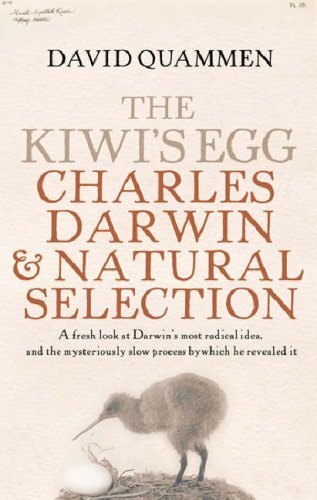 The Kiwi's Egg book cover