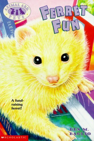 Ferret Fun book cover