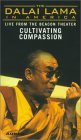 The Dalai Lama in America book cover