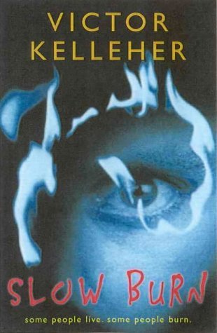 Slow Burn book cover