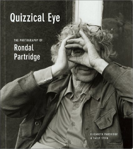 Quizzical Eye book cover