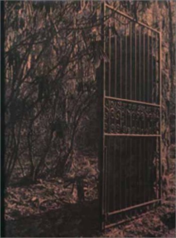 At Dusk Iridescent book cover