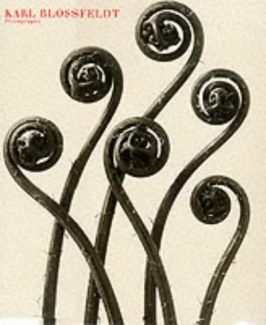 Karl Blossfeldt: Photography by Karl Blossfeldt | Goodreads