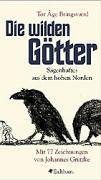 Die Wilden Götter book cover