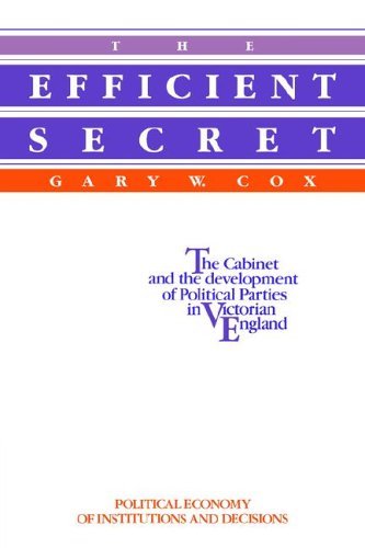 The Efficient Secret book cover