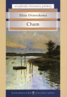 Cham book cover
