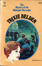 The Mystery of the Midnight Marauder book cover
