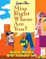 Miss Right Where R U? book cover