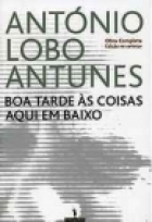 Boa Tarde às Coisas Aqui em Baixo book cover