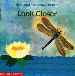 Look Closer book cover