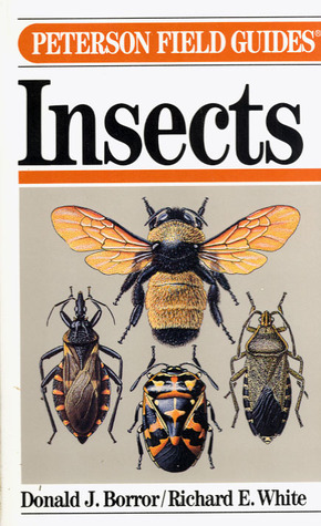 A Field Guide to the Insects: America North of Mexico by Donald J ...