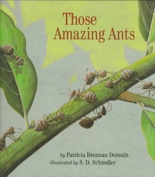 Those Amazing Ants book cover