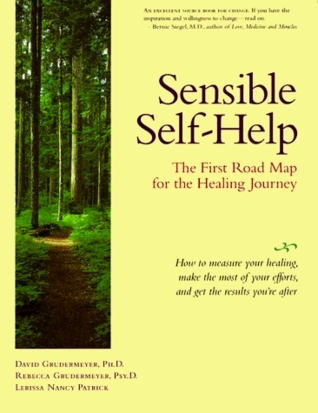 Sensible Books Sensible Self-Help: The First Road Map for the Healing Journey by David ...