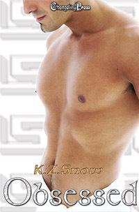 Obsessed book cover