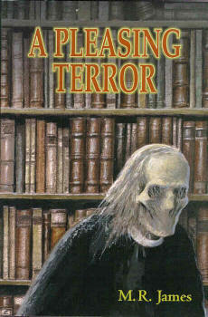A Pleasing Terror book cover