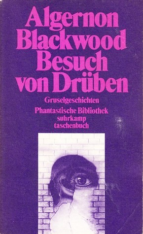 Besuch von Drüben. Gruselgeschichten book cover