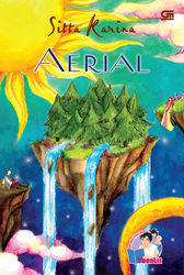 Aerial book cover