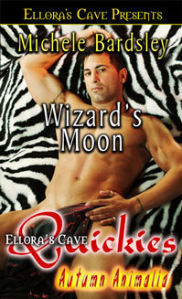 Wizard’s Moon book cover