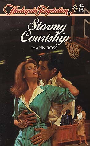 Stormy Courtship book cover