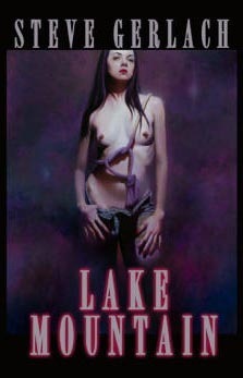 Lake Mountain book cover
