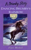Dancing Brumby's Rainbow book cover
