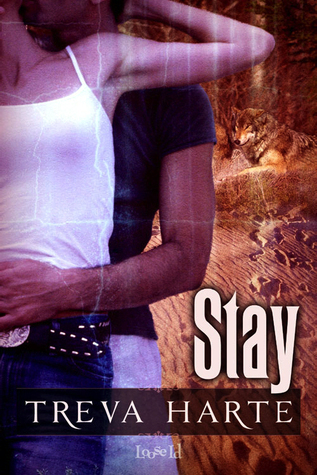 Stay book cover