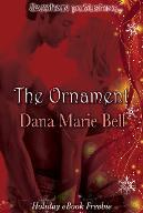 Ornament book cover 2