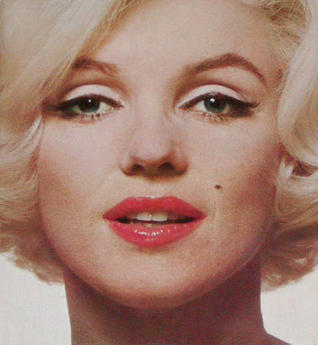 Marilyn book cover