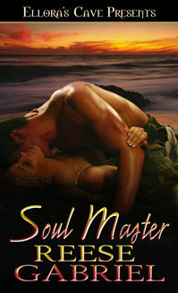 Soul Master book cover
